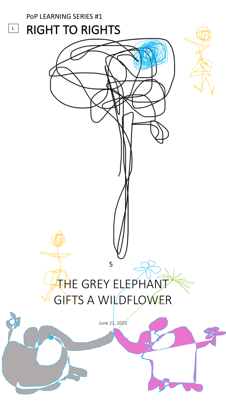 PoP#1 - 5. THE GREY ELEPHANT GIFTS A WILDFLOWER